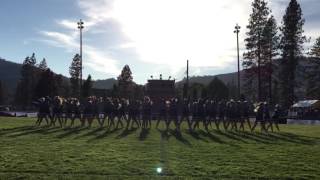 UPrep Cheer * JV Halftime * 8/26