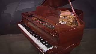 Steinway Model M 57 Grand Piano Restored Mahogany (#245330)