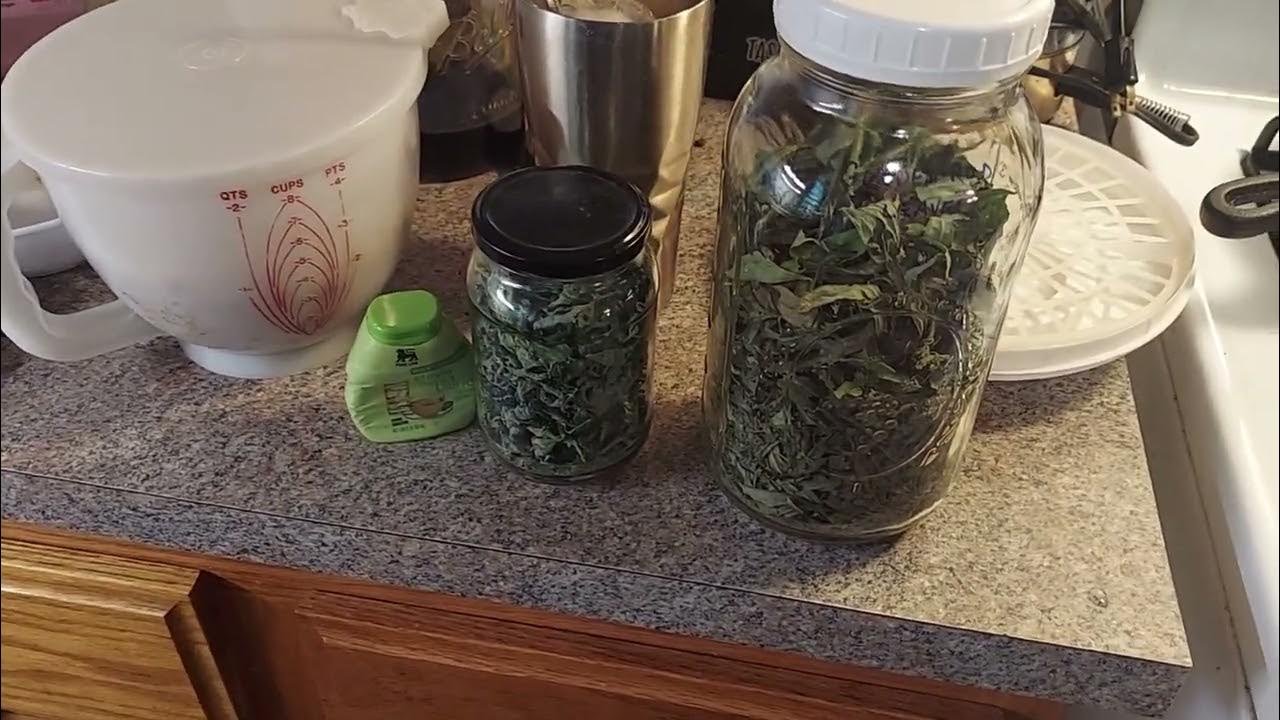 Dehydrating Projects This Week Basil, Goldenrod, and Catnip and My