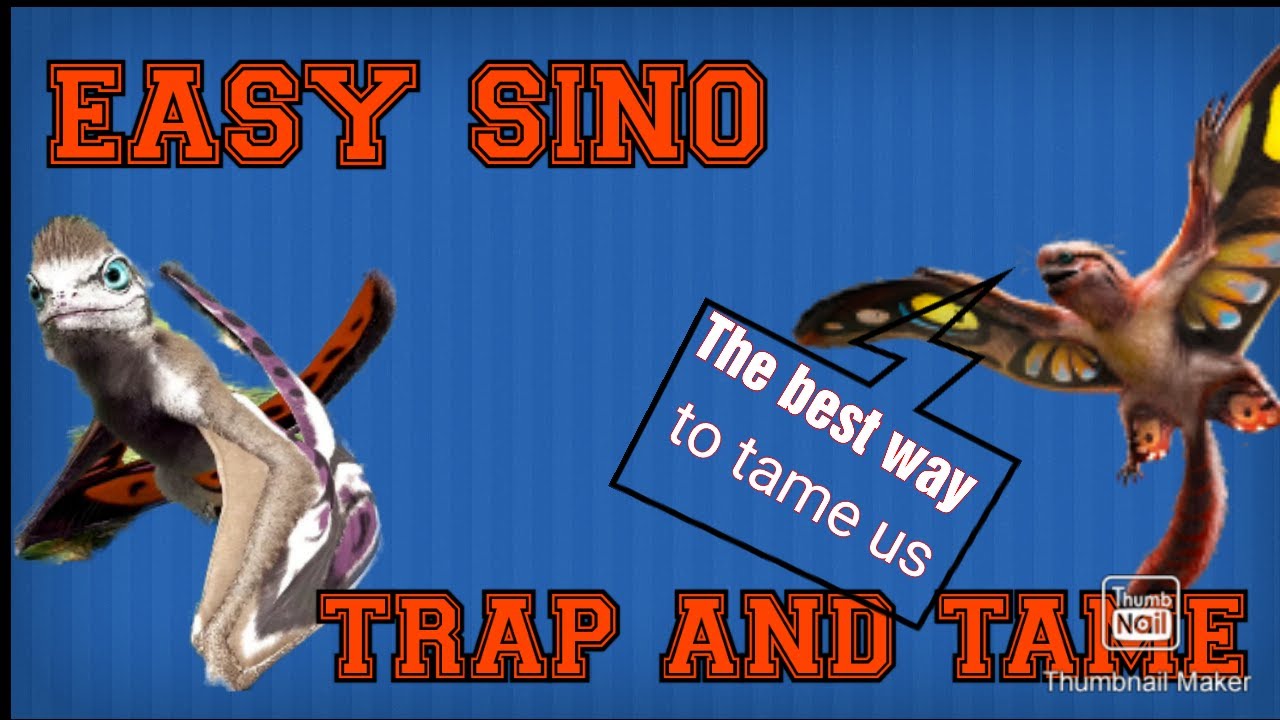 Easiest Sinomacrop Taming