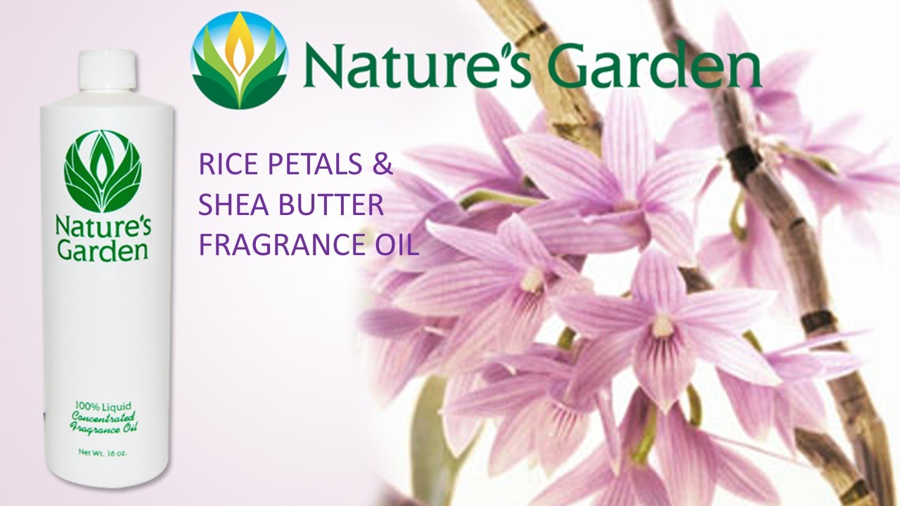 Rice Petals and Shea Butter Fragrance Oil Natures Garden YouTube