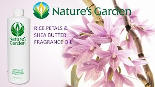 Coconut Shea Fragrance Oil - Nature's Garden Candles