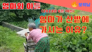 엄마가 산밭에 오는 이유는? 머리가 아프지 않아서요! 두통엔 산밭. #보약남