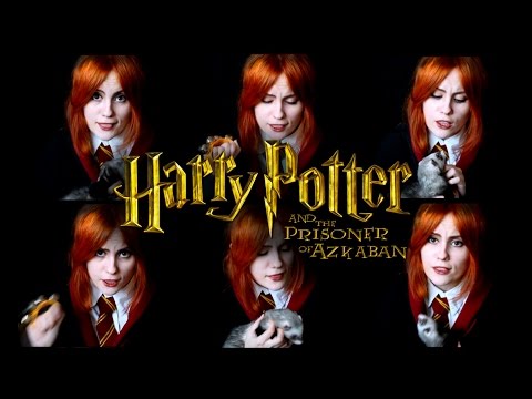 Double Trouble - Harry Potter and the Prisoner of Azkaban (Gingertail Cover)