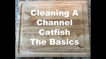 Cleaning Channel Catfish