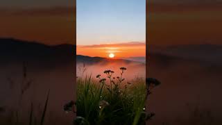 Stressed Out? Calm Your Mind and Regain Focus #deepfocus #sunset #focusmusic #nature #studymusic