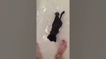 Wet pussy lmao #sorryNotSorry