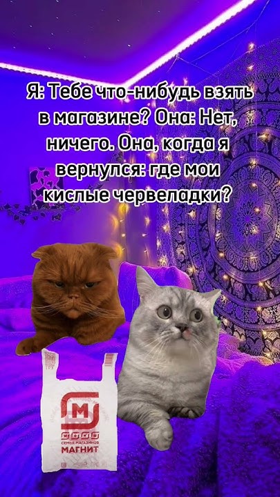ГДЕ 😡МОИ 😡ЧЕРВЕЛАДКИ😡 #подпишись #лайк #залетит #активпж #врек #втоп # ...