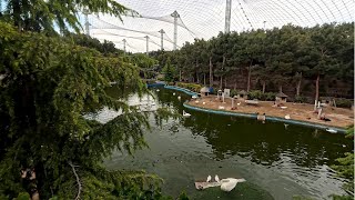 Exploring Tehran Bird Garden | A Haven for Exotic Birds - بازدید از باغ پرندگان | بهشت پرندگان نایاب