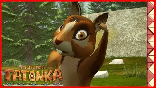 Quel est ce bruit ? | Tatonka | Dessins animés d'animaux