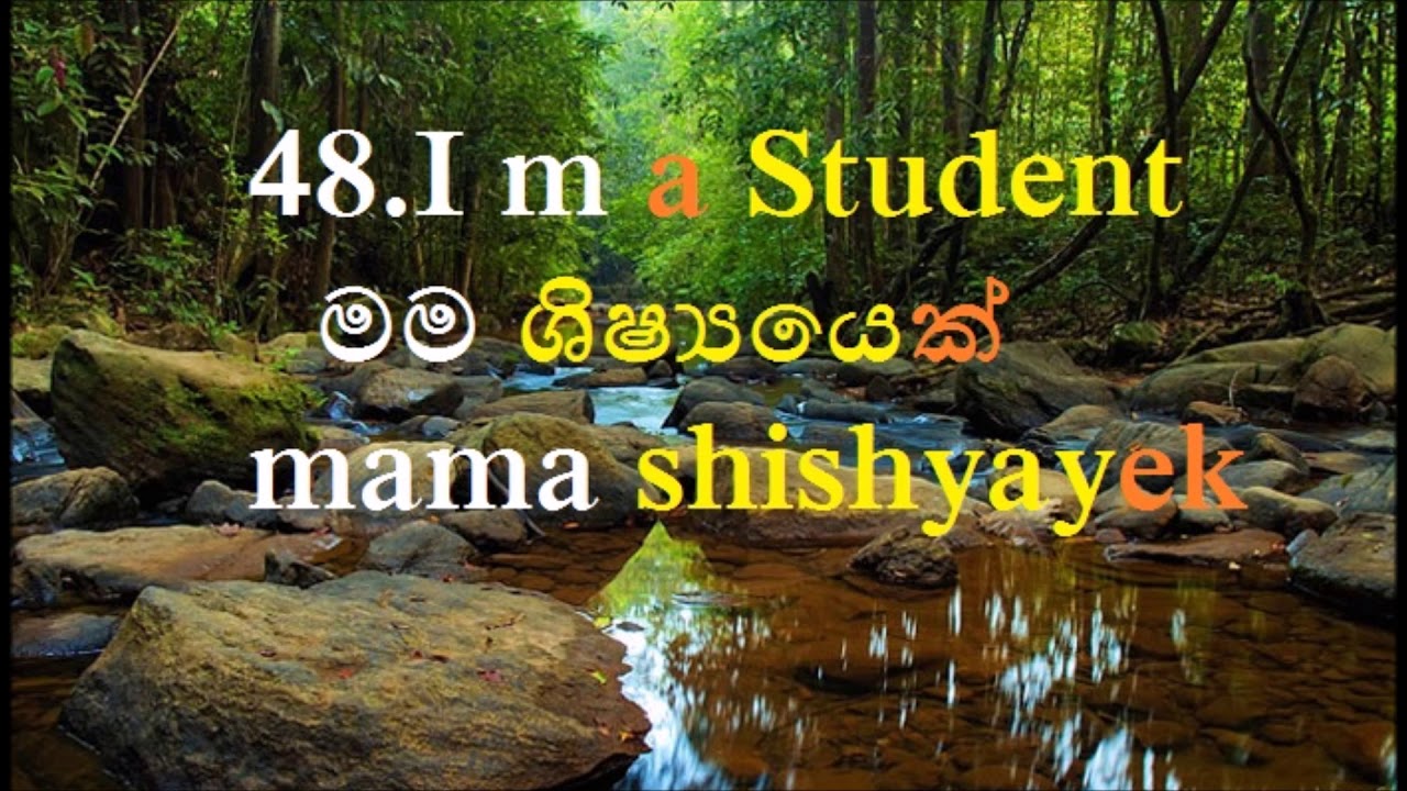 excursion meaning in sinhala