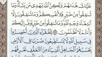 الصفحة السادسة و الأربعون ( 46/604) محمد المنشاوي - الختمة المرئية بالصفحات للقرآن الكريم