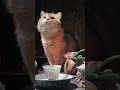 Calling all tea lovers: A quiet tea gathering to calm your mind