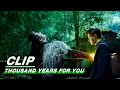 Lu Yan And Dengdeng Almost Died | Thousand Years For You EP23 | 请君 | iQIYI