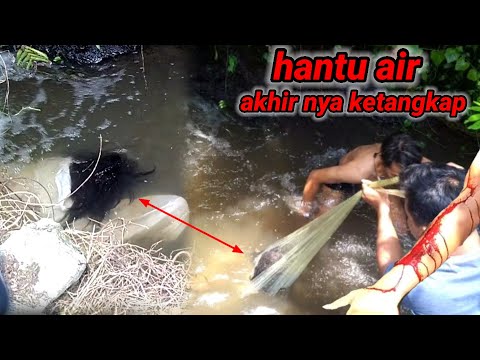 Video: Bambupensassa