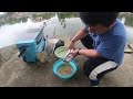 Hai Bố Con đi câu cá dã ngoại gặp cần thủ Trung Quốc chia sẻ bí mật câu cá diếc