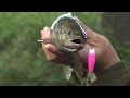 Стритфишинг - радужная форель! Street-fishing - rainbow trout!