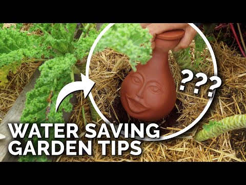 How To Water Your Garden In A Drought