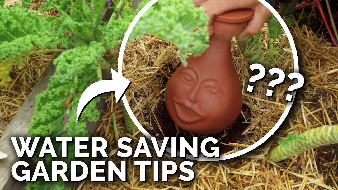 6 Clever Ways to Water Your Garden In a Drought - YouTube