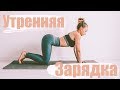 утренняя зарядка | тренируемся дома