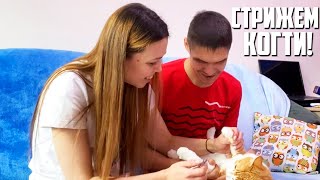 УТРЕННЯЯ ЗАКУПОЧКА || ПОСТЕЛЬНОЕ, КОТОРОЕ СВЕТИТСЯ!