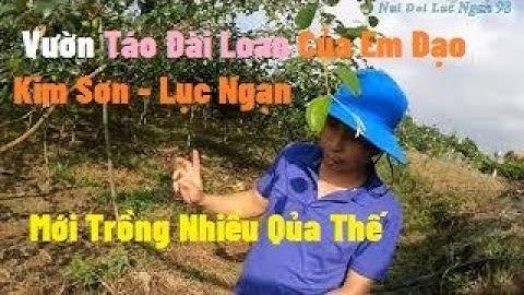 Thăm Vườn Táo Đài Loan Rất Đẹp Nhà Em Đạo Xã Kim Sơn I Nui Doi Luc Ngan 98