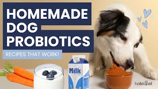 Homemade Probiotics for Dogs That Actually Work
