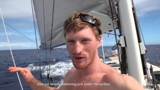 Atlantic crossing on Wally 100 Indio with VOR sailors