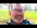 हाइब्रिड सरसों की फसल किसानों के लिए सबसे अच्छी वैरायटी है खेत में लहराती सरसों की फसल का नजारा