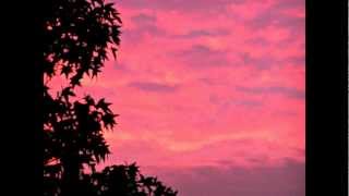 Nathan Fake - The sky was pink (James Holden rmx)