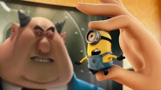 Funniest Minions | Despicable Me Movie Clip