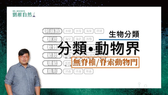 強瘋來習 國中生物10 動物界簡介 Youtube 強瘋來習 國中生物10 動物界簡介 Youtube