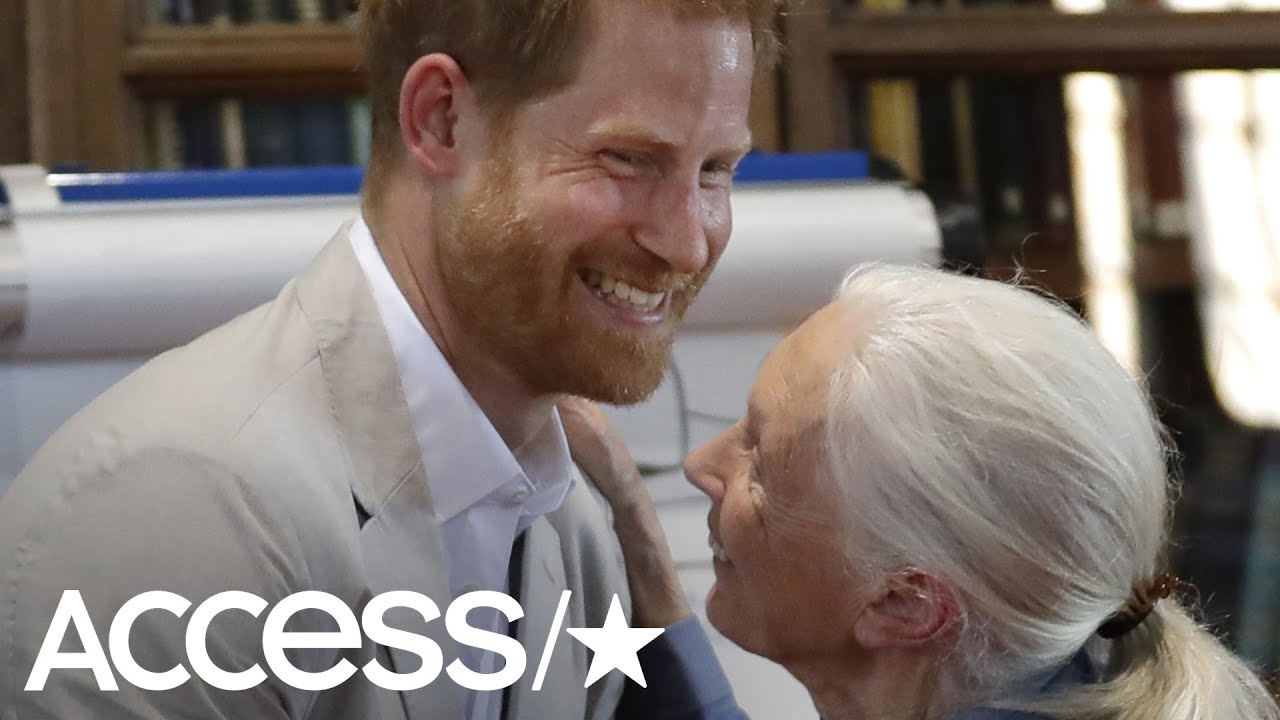 Prince Harry Does Adorable Dance with Dr. Jane Goodall After Cuddling With Baby Archie