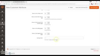 set up customer attributes