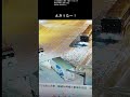 札幌市 立往生