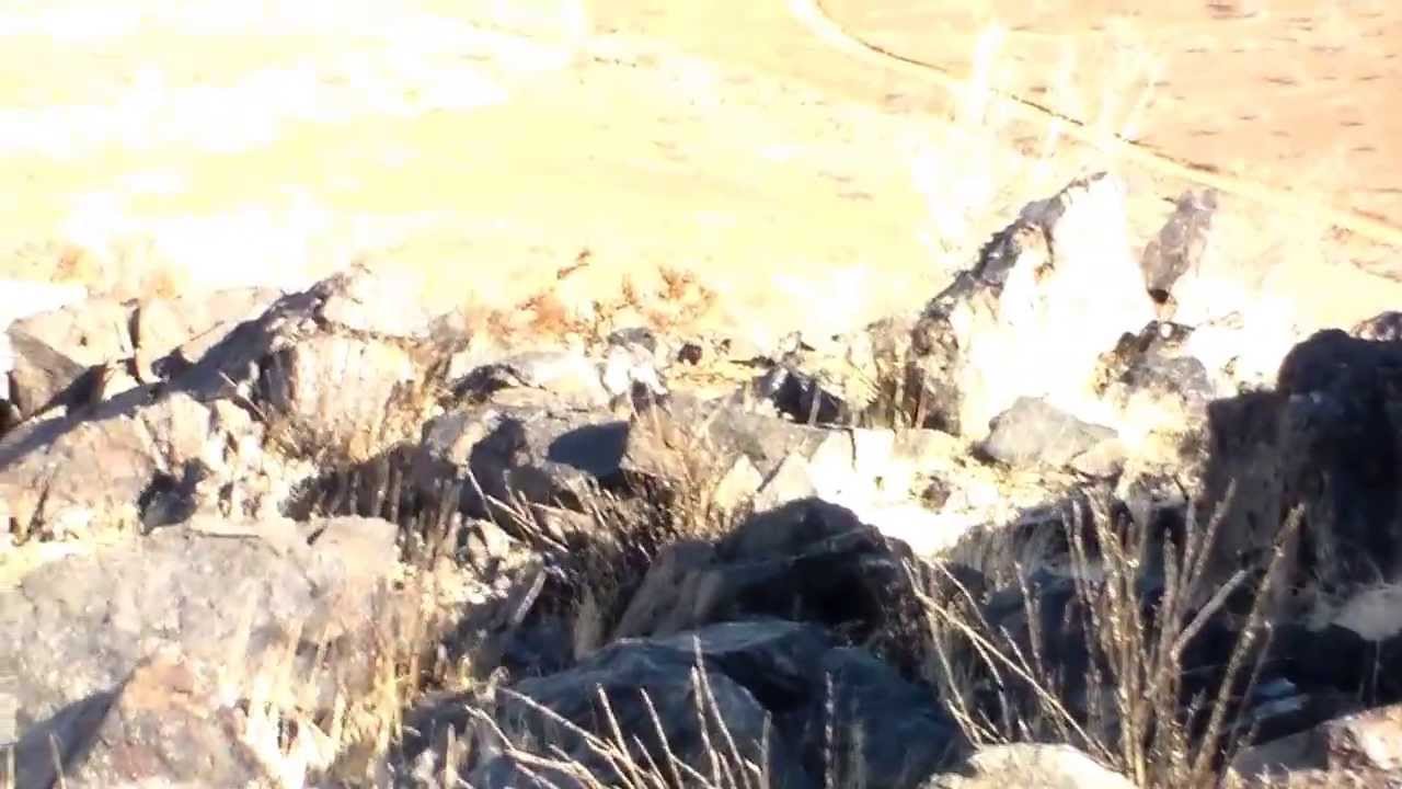 yacimiento de Hierro "PANGUE" Región de Coquimbo