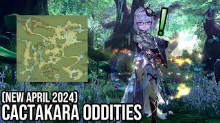 30- Cactakara Forest Oddities Guide Updated 2024