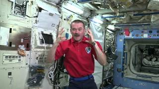 FThe Five Senses in Space Smell