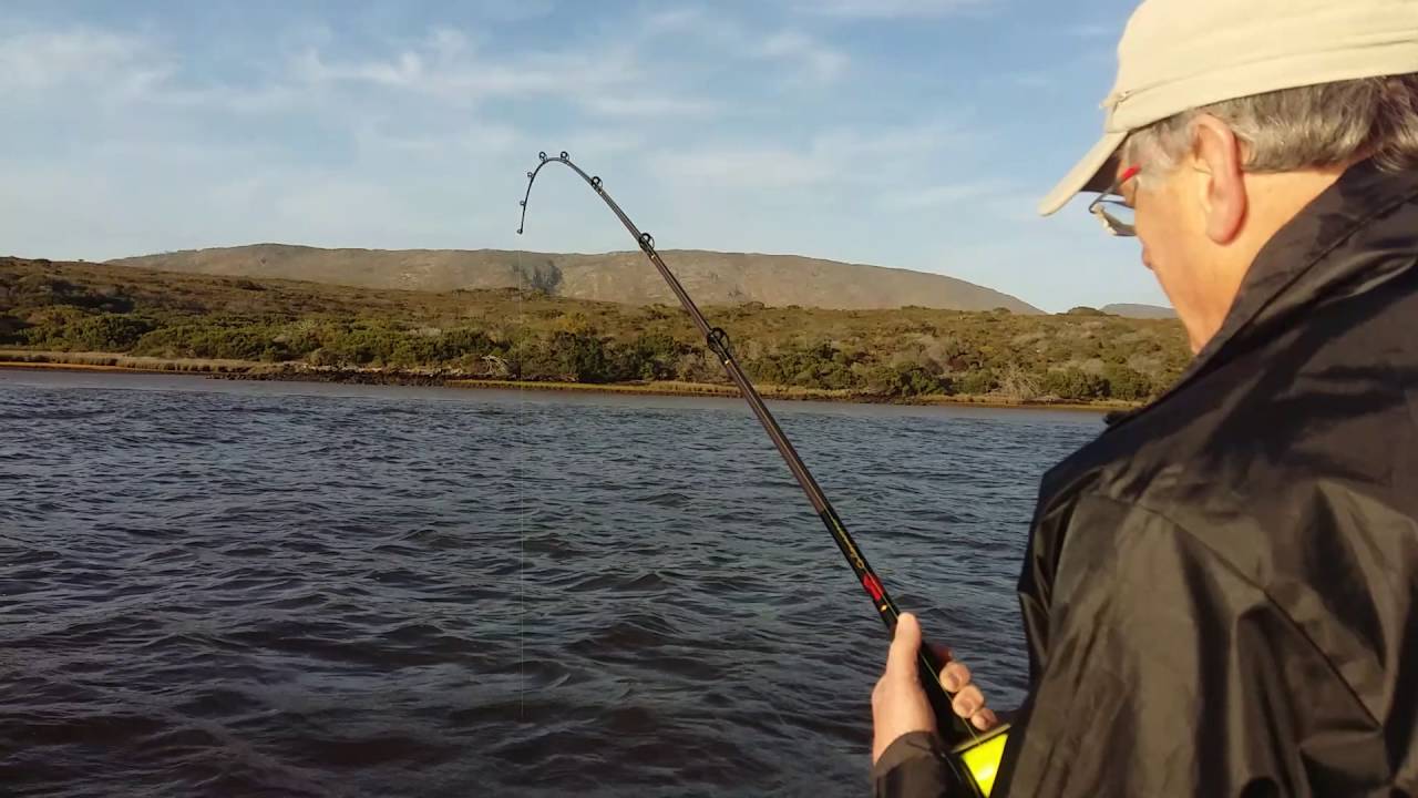 Monster Grunter Breede River