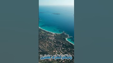 سورة الروم و..كا..نك تسمعها لأ. و..ل مر.ة 💘🌸.. ❤️💟. 💗.. 🌸💖بصوت الشيخ حمزة مدبو.ح 💚. 💟... 💮💓. 💕🌷
