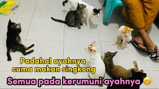 Anabul Kaya Antri Sembako ~Padahal Cuma Makan Singkong !!