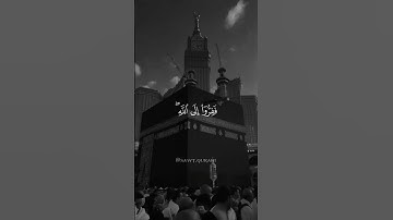 اكتب شيء تؤجر عليه ❤️😴 تلاوة خاشعة بصوت محمد اللحيدان