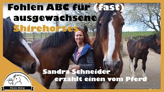 React: Sandra Schneider Shirehorse: Wie man etwas beibringt, was Pferde bereits können Fohlen ABC