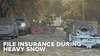 Should you file for insurance if heavy snow takes down your tree?