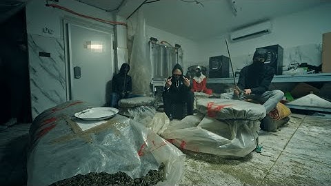 Harmann - IMPORT EXPORT [Official Video]