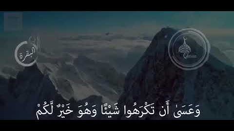 ﴿  وَعَسَىٰ أَن تَكْرَهُوا شَيْئًا وَهُوَ خَيْرٌ لَّكُمْ...} القارئ عبدالرحمن ابا الخيل حالات قرآنيه