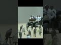 Sheikh hamdan #falcon# Gyr#video forupage