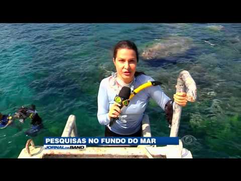 Conheça as ilhas brasileiras de São Pedro e São Paulo