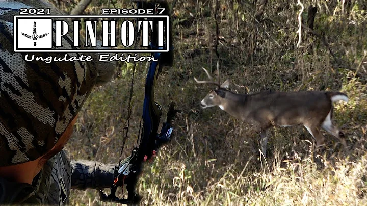 BEST DEER HUNT of MY LIFE | ALL DAY SIT in a SADDLE | CRAZY RUTTING in the BEDDING- Ungulate 2021