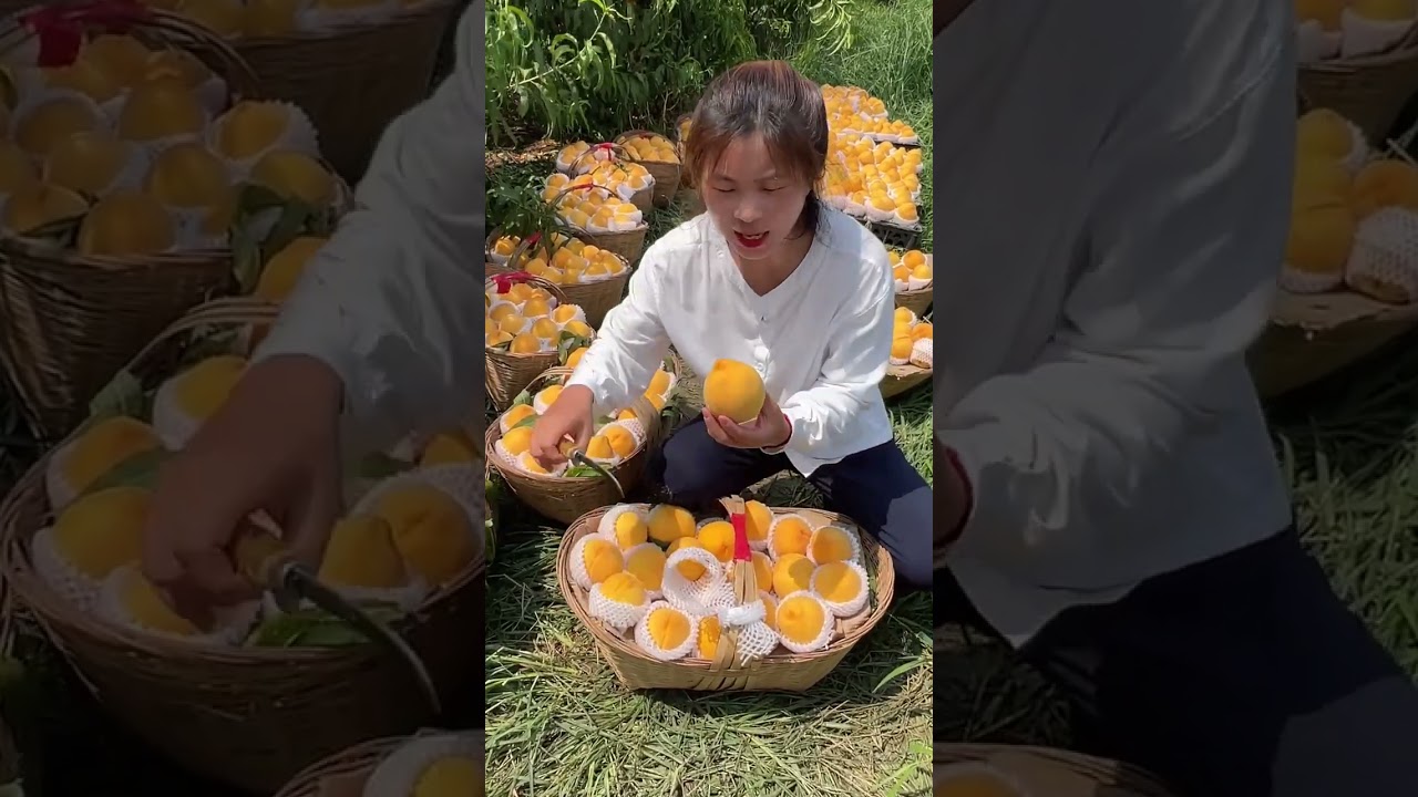 Yellow Peaches Fruit With Eating So Sweet 